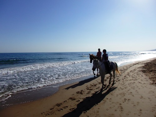 3-daagse paardrijtocht rond Psiloritis & de Witte Bergen Kreta - Griekenland