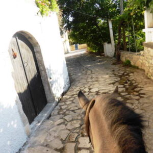 8-daagse paardrijtocht North–South Trail Kreta - Griekenland - Afbeelding 9