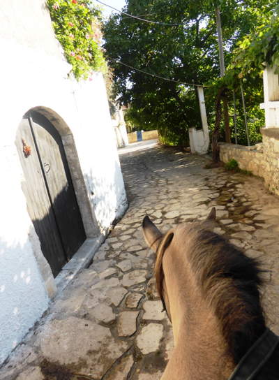 8-daagse paardrijtocht North–South Trail Kreta - Griekenland