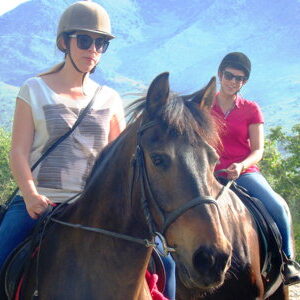 8-daagse paardrijtocht North–South Trail Kreta - Griekenland - Afbeelding 8