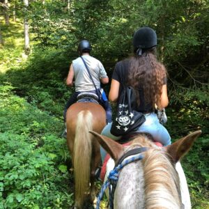 Buitenritten in de Dolomieten Veneto- Italië - Afbeelding 23