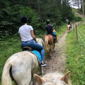 Buitenritten in de Dolomieten Veneto- Italië - Afbeelding 22