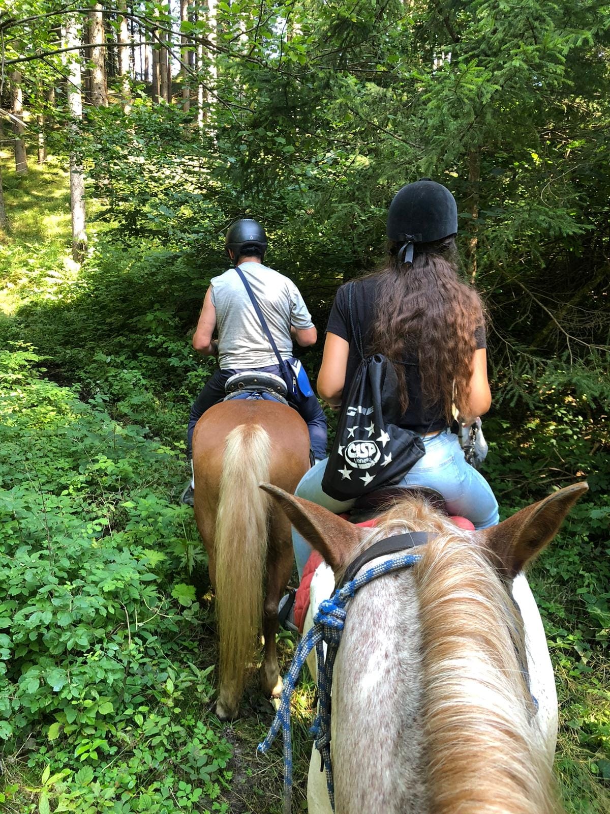 Buitenritten in de Dolomieten Veneto- Italië - Afbeelding 23