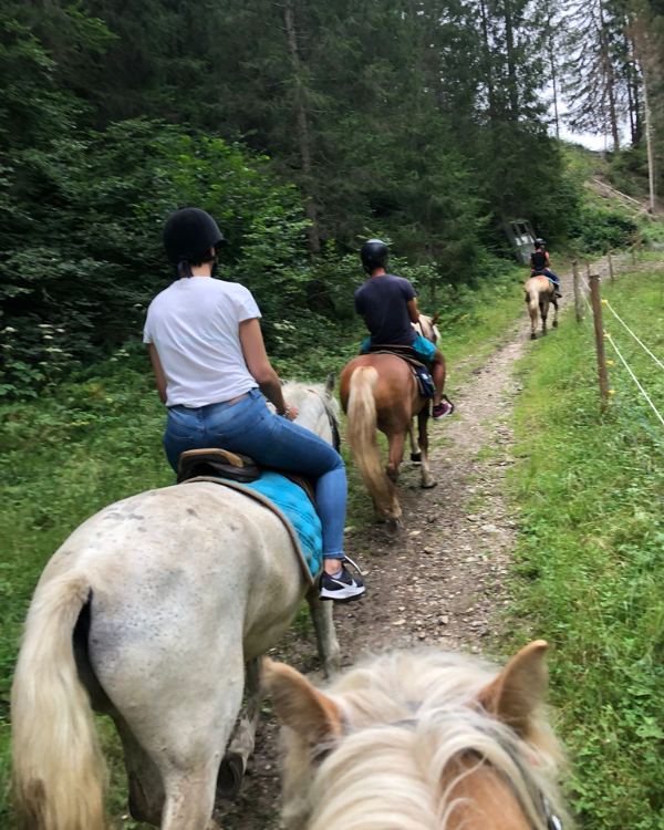Buitenritten in de Dolomieten Veneto- Italië