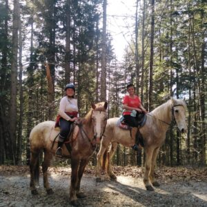 Buitenritten in de Dolomieten Veneto- Italië - Afbeelding 16