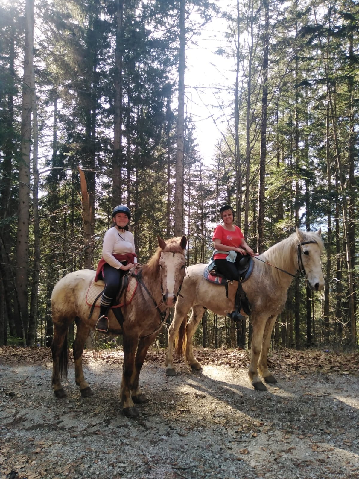 Buitenritten in de Dolomieten Veneto- Italië - Afbeelding 16