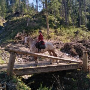 Buitenritten in de Dolomieten Veneto- Italië - Afbeelding 13