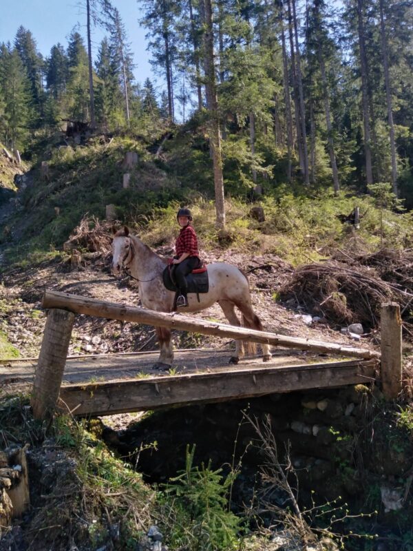 Buitenritten in de Dolomieten Veneto- Italië