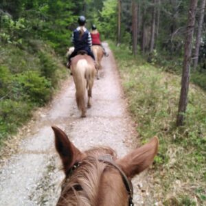 Buitenritten in de Dolomieten Veneto- Italië - Afbeelding 27