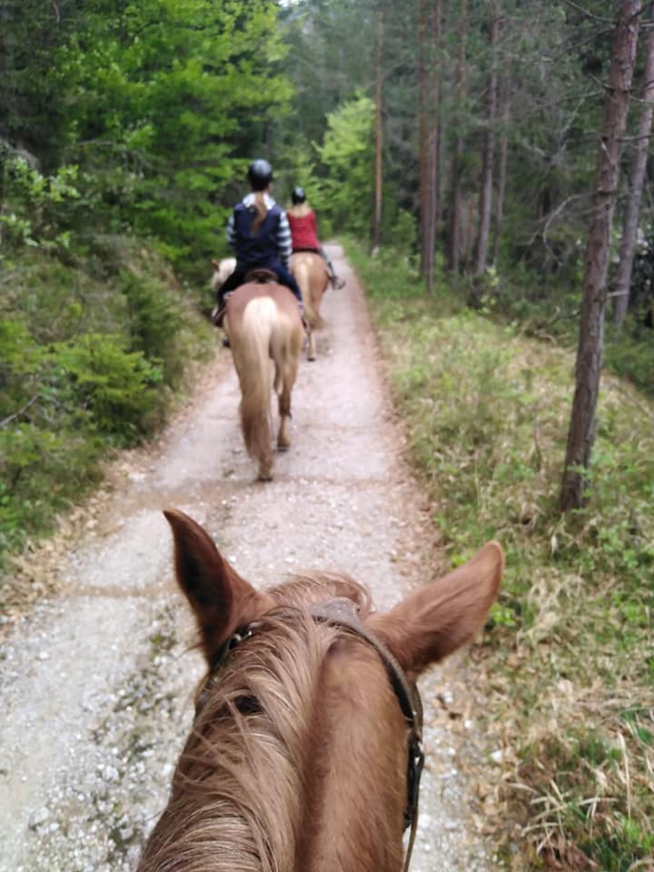 Buitenritten in de Dolomieten Veneto- Italië