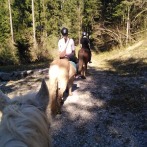 Buitenritten in de Dolomieten Veneto- Italië - Afbeelding 29
