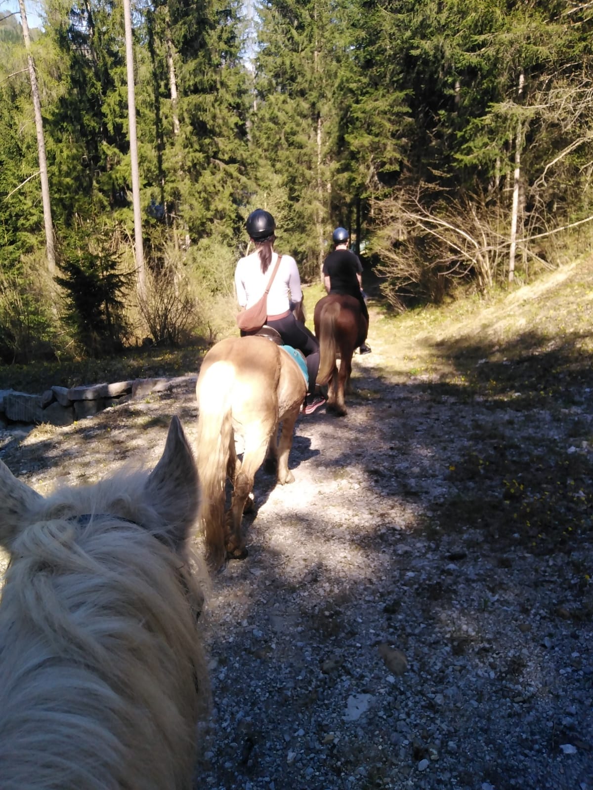 Buitenritten in de Dolomieten Veneto- Italië