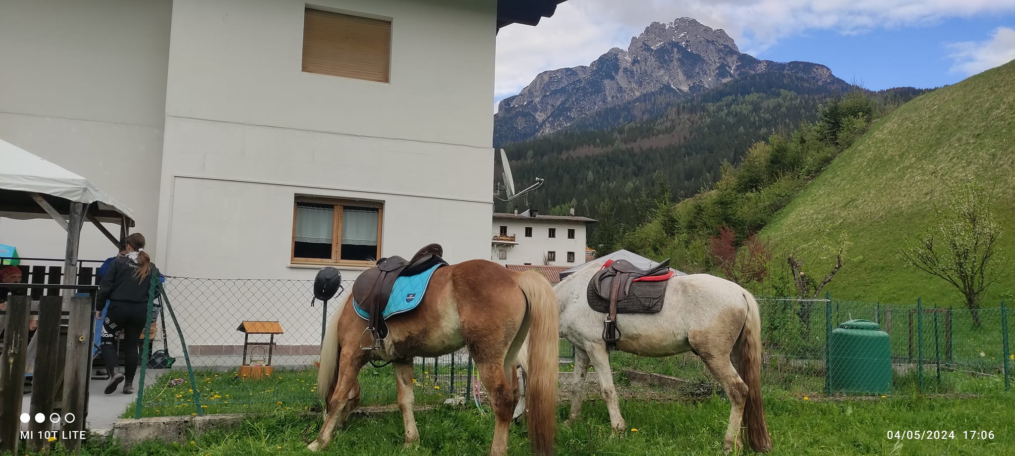 Buitenritten in de Dolomieten Veneto- Italië