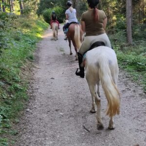 Buitenritten in de Dolomieten Veneto- Italië - Afbeelding 21
