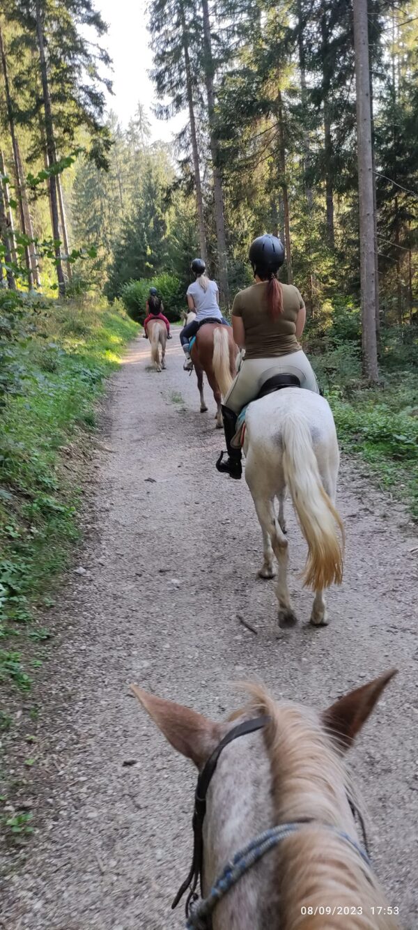 Buitenritten in de Dolomieten Veneto- Italië