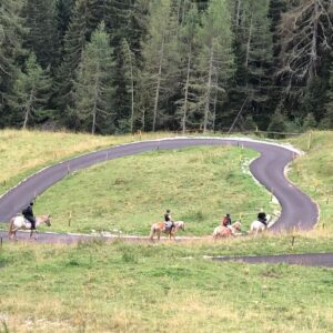 Buitenritten in de Dolomieten Veneto- Italië - Afbeelding 11