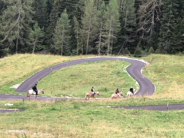 Buitenritten in de Dolomieten Veneto- Italië