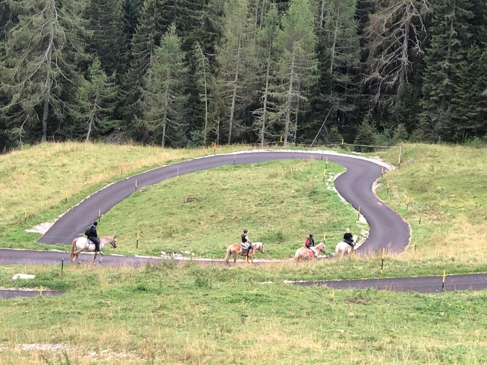 Buitenritten in de Dolomieten Veneto- Italië - Afbeelding 11