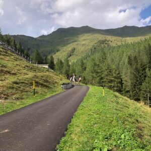 Buitenritten in de Dolomieten Veneto- Italië - Afbeelding 10