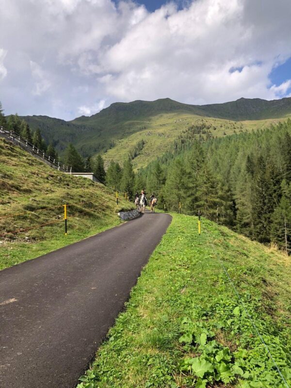 Buitenritten in de Dolomieten Veneto- Italië