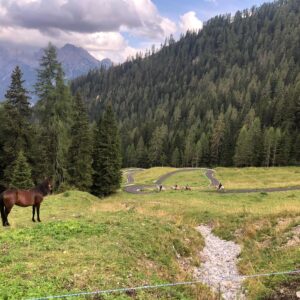Buitenritten in de Dolomieten Veneto- Italië - Afbeelding 8