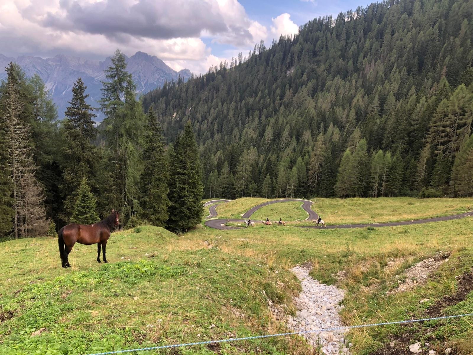 Buitenritten in de Dolomieten Veneto- Italië - Afbeelding 8