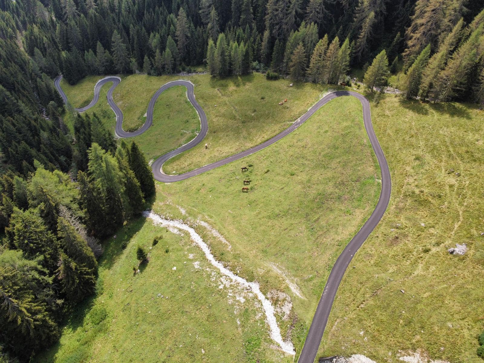 Buitenritten in de Dolomieten Veneto- Italië - Afbeelding 6