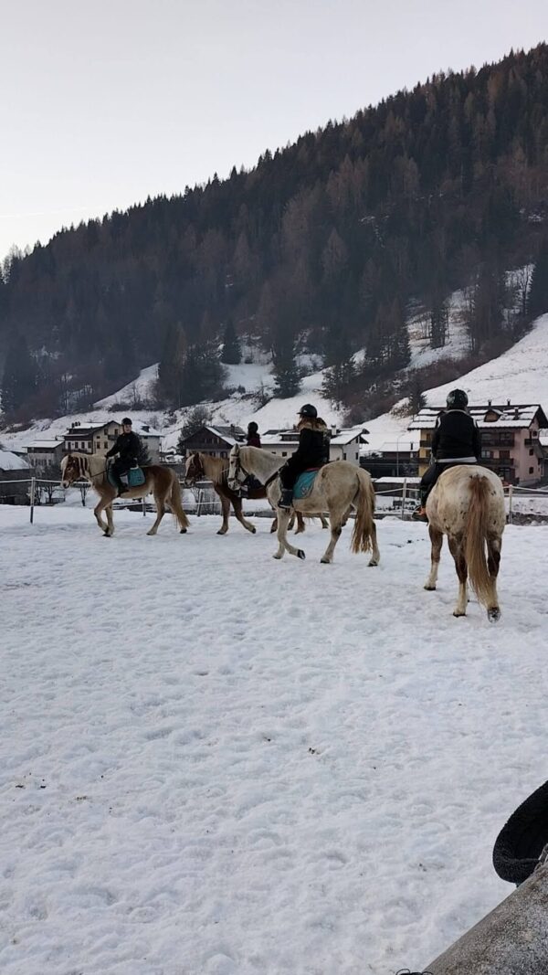 Buitenritten in de Dolomieten Veneto- Italië