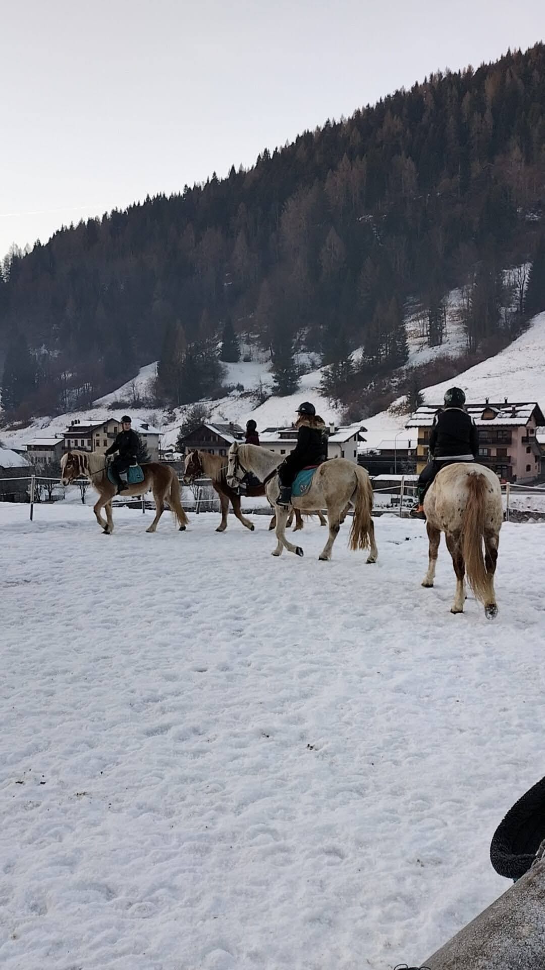 Buitenritten in de Dolomieten Veneto- Italië - Afbeelding 19