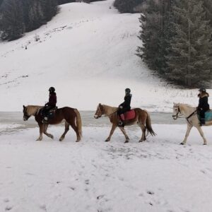 Buitenritten in de Dolomieten Veneto- Italië - Afbeelding 24