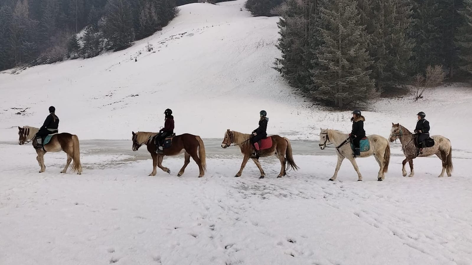 Buitenritten in de Dolomieten Veneto- Italië