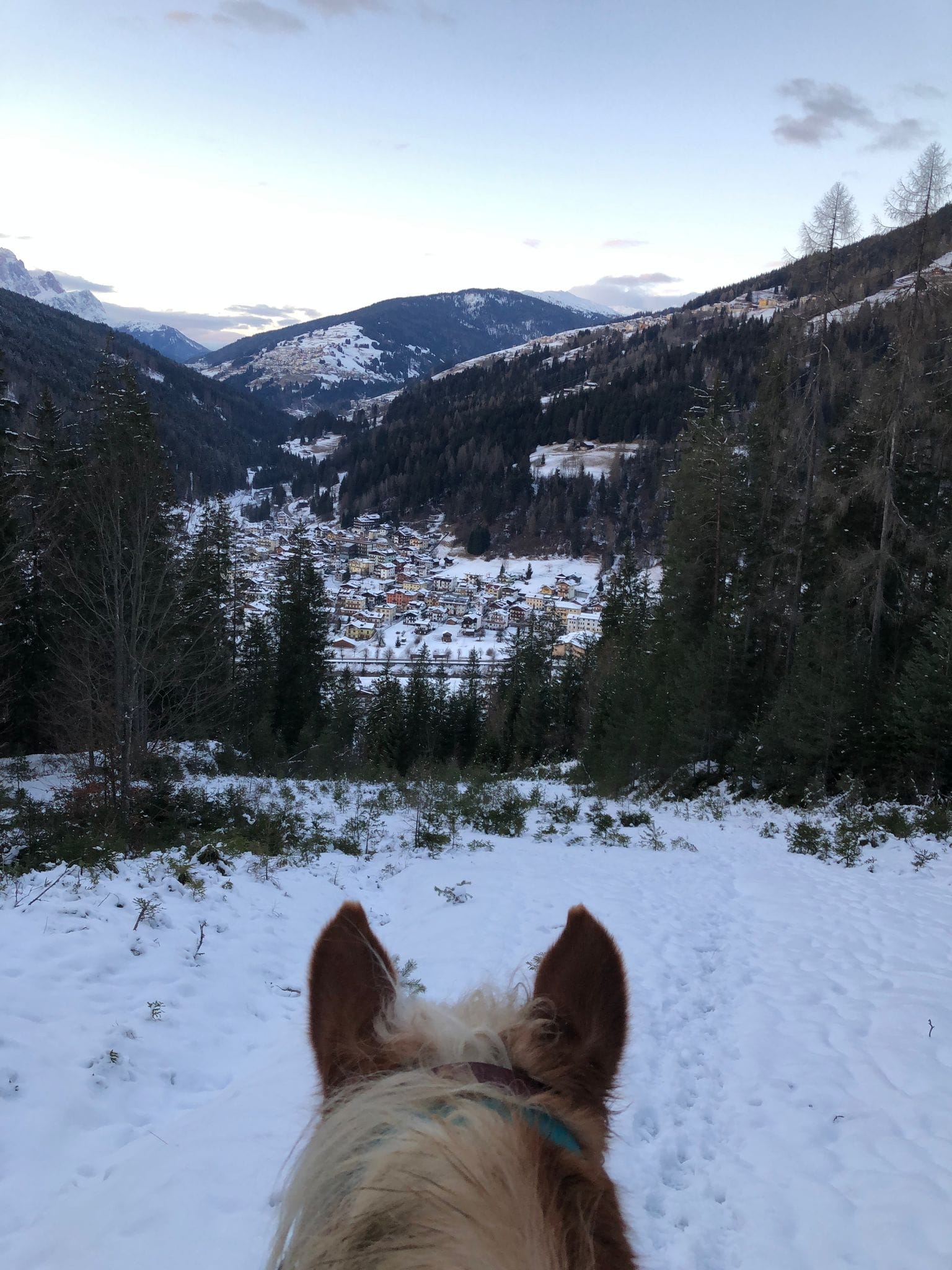 Buitenritten in de Dolomieten Veneto- Italië