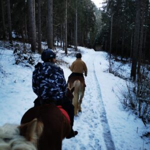 Buitenritten in de Dolomieten Veneto- Italië - Afbeelding 26