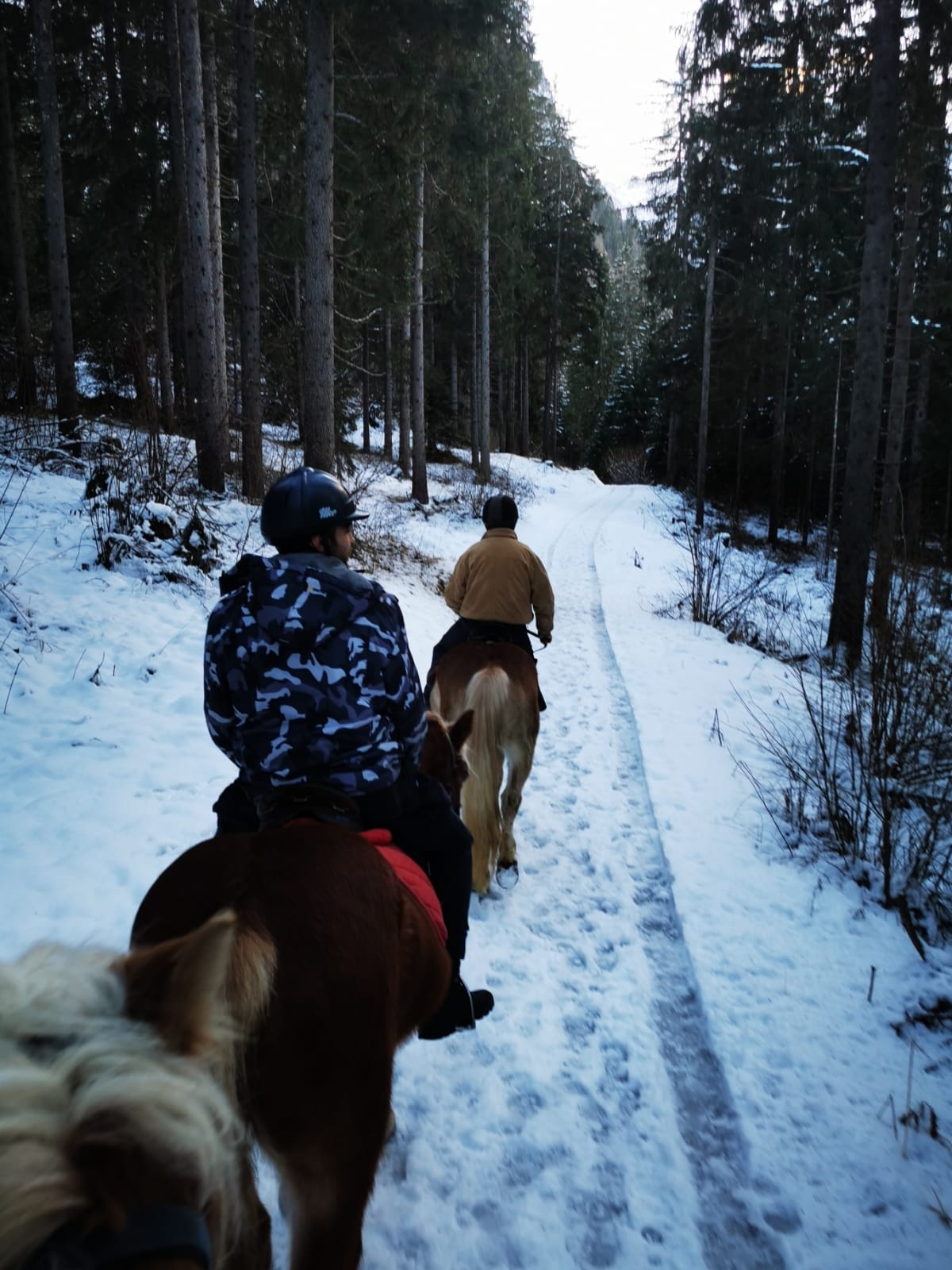Buitenritten in de Dolomieten Veneto- Italië