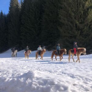 Buitenritten in de Dolomieten Veneto- Italië - Afbeelding 18