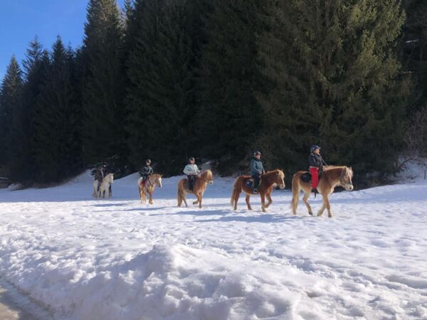 Buitenritten in de Dolomieten Veneto- Italië