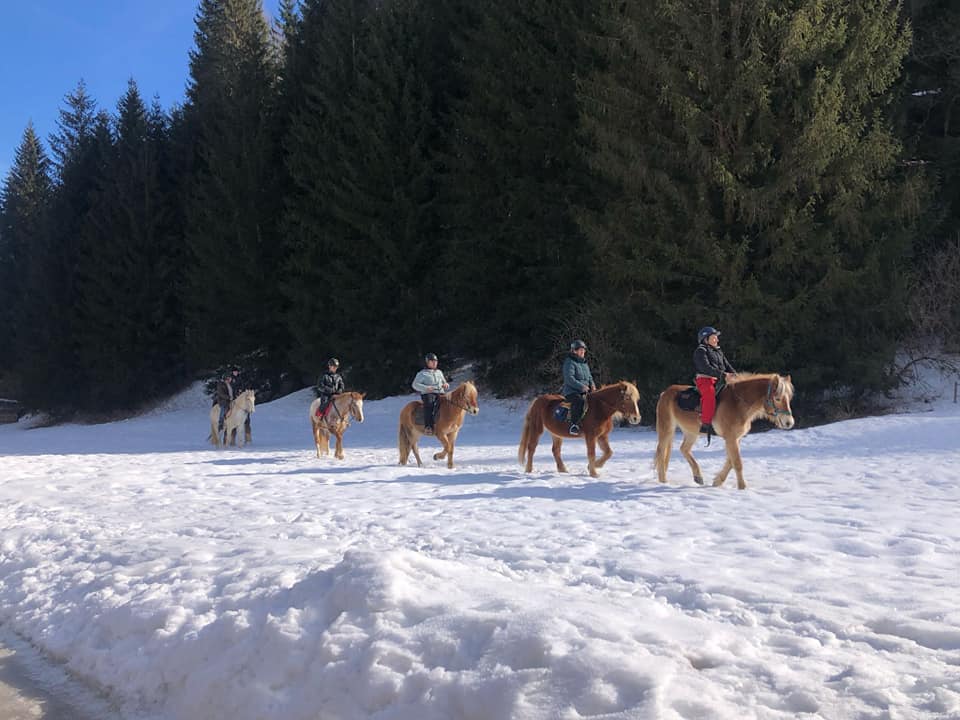 Buitenritten in de Dolomieten Veneto- Italië - Afbeelding 18