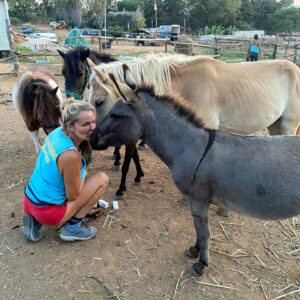 Buitenrit voor kinderen vanaf 3 jaar Porto Ferro Sardinië - Italië - Afbeelding 6