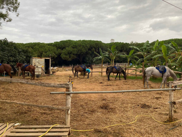Buitenrit voor kinderen vanaf 3 jaar Porto Ferro Sardinië - Italië