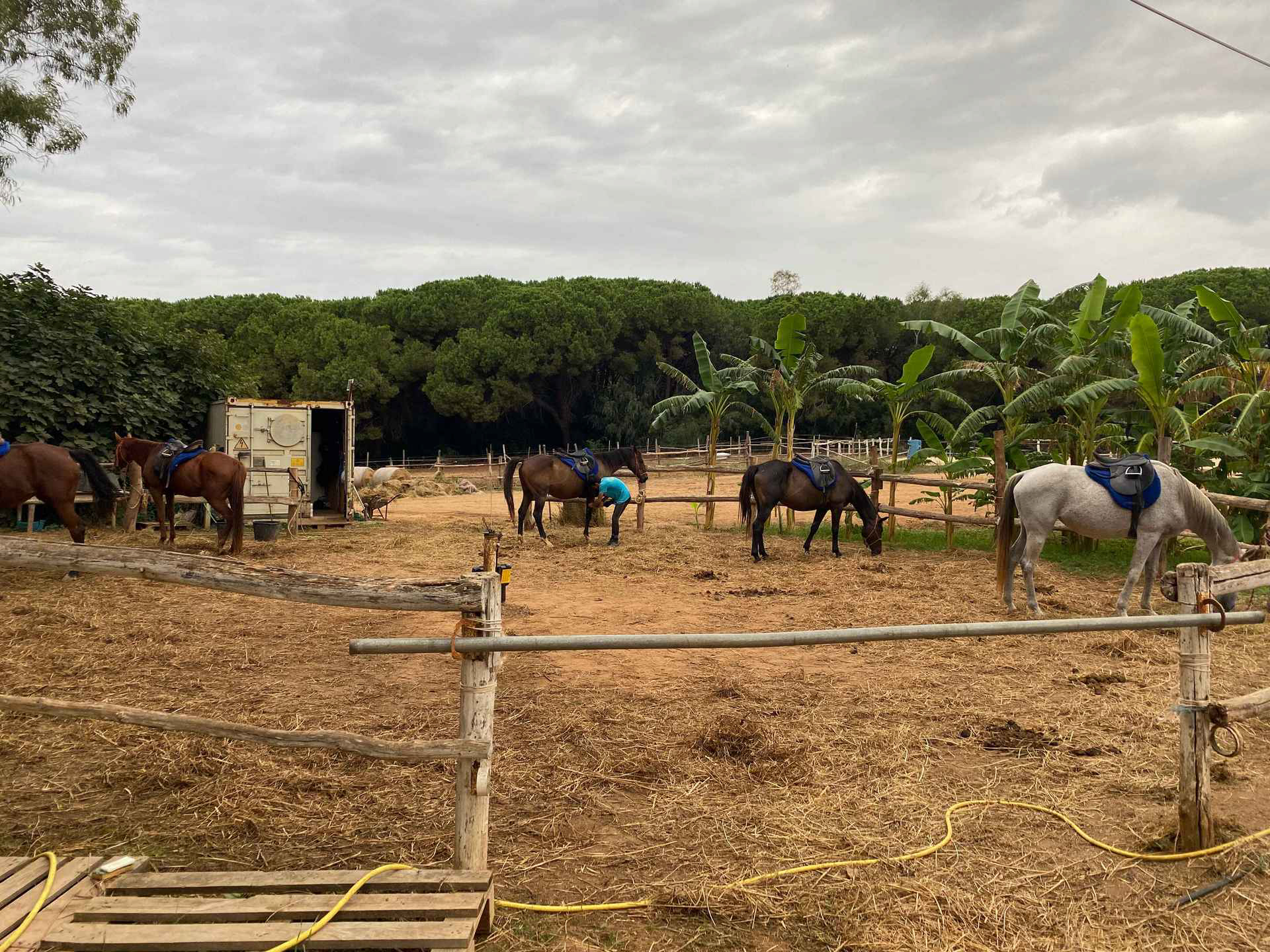 Buitenrit voor kinderen vanaf 3 jaar Porto Ferro Sardinië - Italië - Afbeelding 3