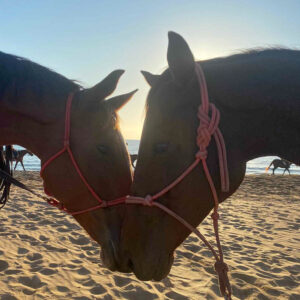 Buitenrit voor kinderen vanaf 3 jaar Porto Ferro Sardinië - Italië - Afbeelding 4