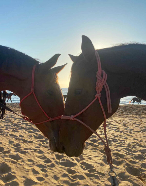 Buitenrit voor kinderen vanaf 3 jaar Porto Ferro Sardinië - Italië