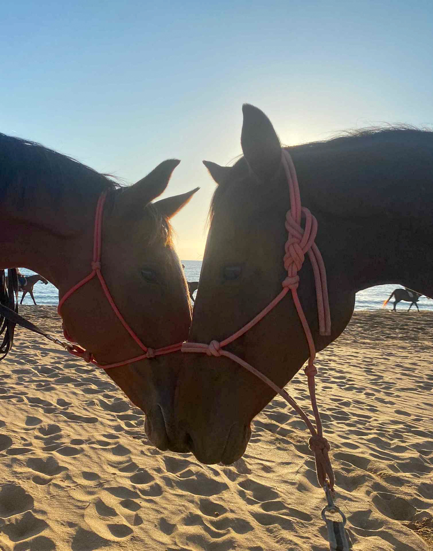 Buitenrit voor kinderen vanaf 3 jaar Porto Ferro Sardinië - Italië - Afbeelding 4