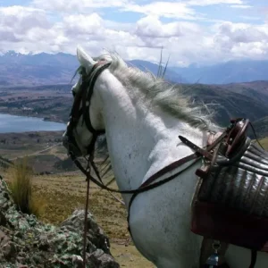 Ranch vakantie - Peru - Afbeelding 5