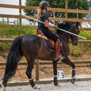Privé rijlessen hoogwaardige dressuur- en Working Equitation trainingen in Vimeiro- Portugal - Afbeelding 6