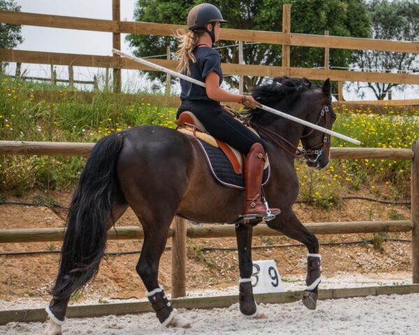 Privé rijlessen hoogwaardige dressuur- en Working Equitation trainingen in Vimeiro- Portugal