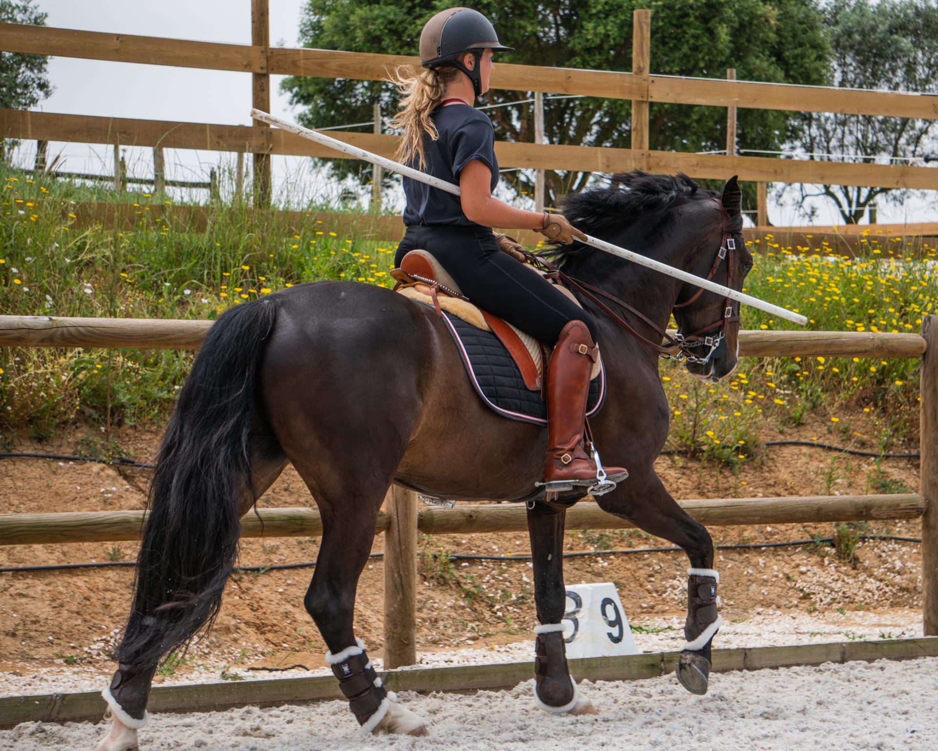 Privé rijlessen hoogwaardige dressuur- en Working Equitation trainingen in Vimeiro- Portugal - Afbeelding 6