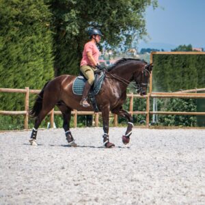 Privé rijlessen hoogwaardige dressuur- en Working Equitation trainingen in Vimeiro- Portugal - Afbeelding 5