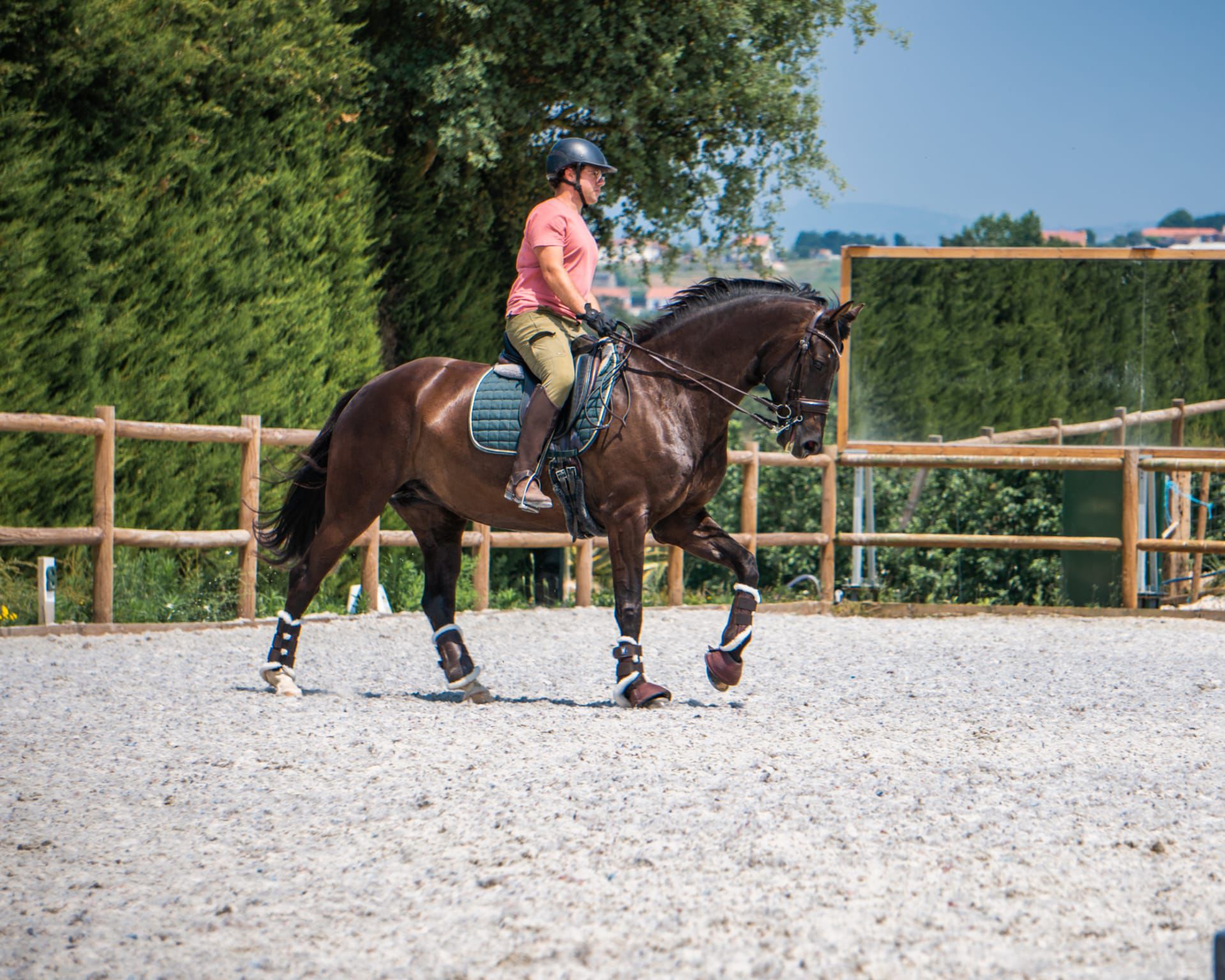 Privé rijlessen hoogwaardige dressuur- en Working Equitation trainingen in Vimeiro- Portugal - Afbeelding 5