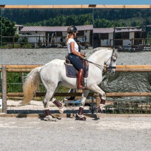 Privé rijlessen hoogwaardige dressuur- en Working Equitation trainingen in Vimeiro- Portugal - Afbeelding 3